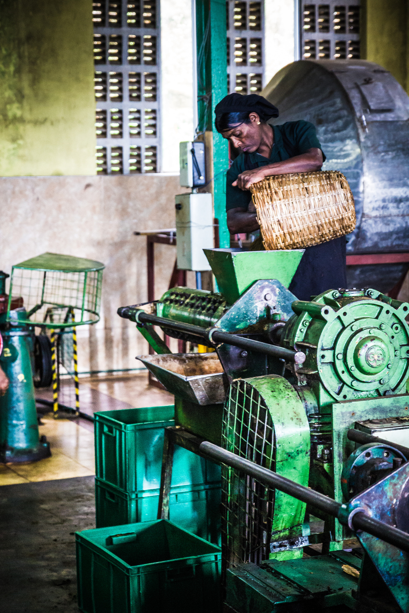 The factory floor — withering, rolling, oxidation, firing